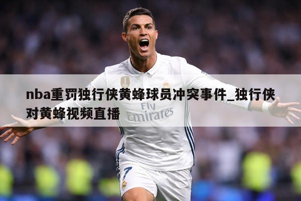 nba重罚独行侠黄蜂球员冲突事件_独行侠对黄蜂视频直播