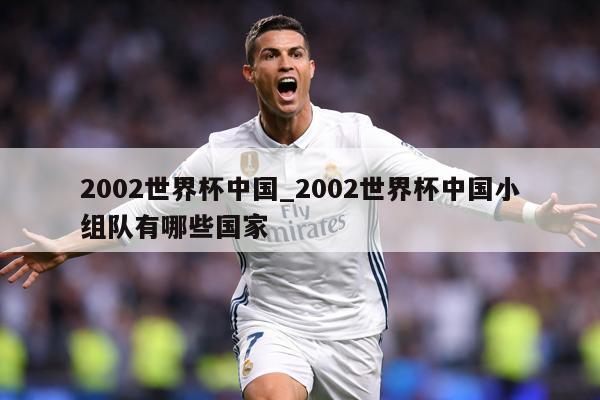 2002世界杯中国_2002世界杯中国小组队有哪些国家