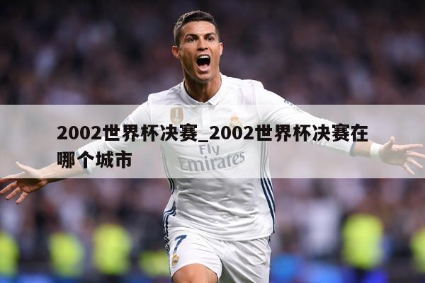 2002世界杯决赛_2002世界杯决赛在哪个城市